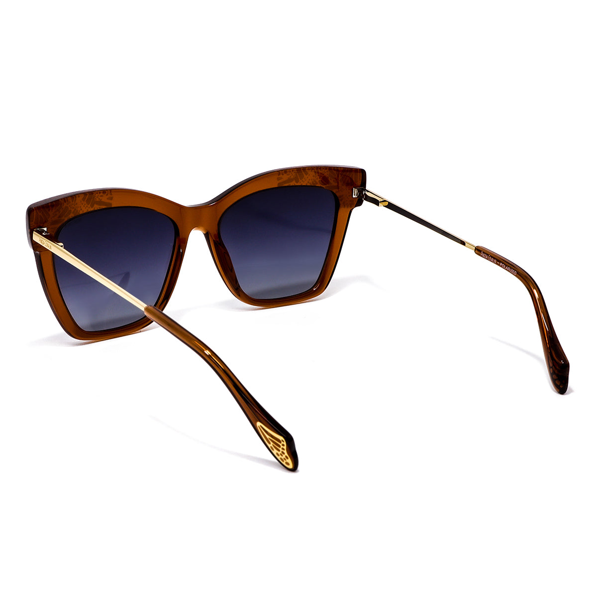 ARM. PINEDA COVALIN SOL